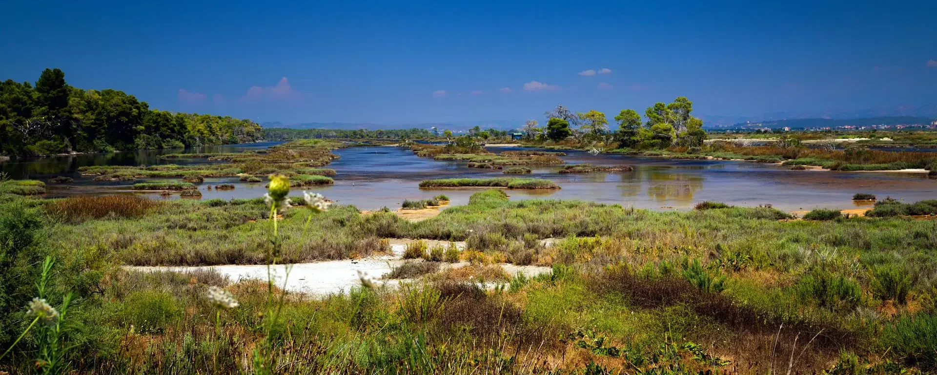 Lagoon of Divjake Karavasta