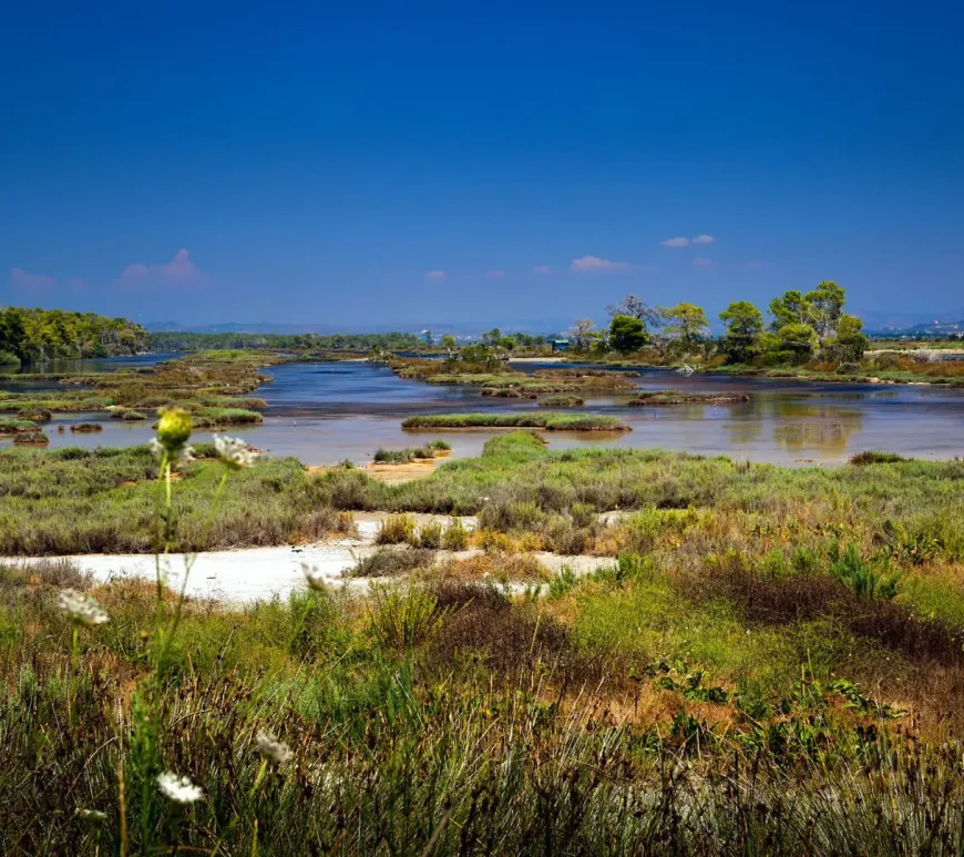 Lagoon of Divjake Karavasta